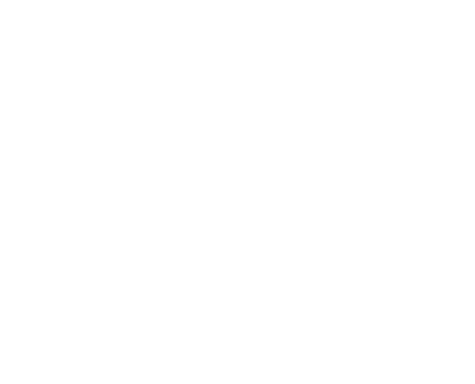 Cat Boarding